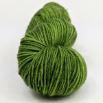 Knitcircus Yarns: In a Pickle 100g Kettle-Dyed Semi-Solid skein, Greatest of Ease, ready to ship yarn