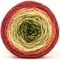 Knitcircus Yarns: Spice Spice Baby 100g Panoramic Gradient, Daring, ready to ship yarn