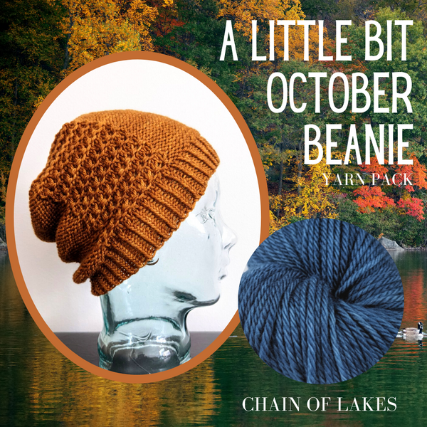 A Little Bit October Beanie Yarn Pack, pattern not included, dyed to order