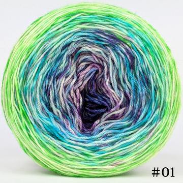 Knitcircus Yarns: Top Scarer 100g Impressionist Gradient, Breathtaking BFL, choose your cake, ready to ship yarn