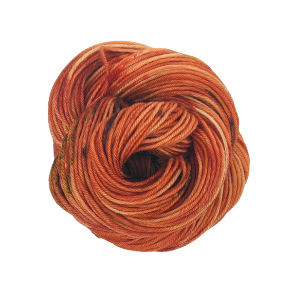 Knitcircus Yarns: The Great Pumpkin 50g Speckled Handpaint skein, Divine, ready to ship yarn
