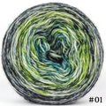 Knitcircus Yarns: Growing Like A Weed 100g Impressionist Gradient, Breathtaking BFL, choose your cake, ready to ship yarn