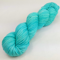 Knitcircus Yarns: Crowd Surfing 100g Kettle-Dyed Semi-Solid skein, Ringmaster, ready to ship yarn
