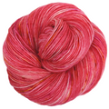Knitcircus Yarns: Fame and Fortune 100g Speckled Handpaint skein, Spectacular, ready to ship yarn