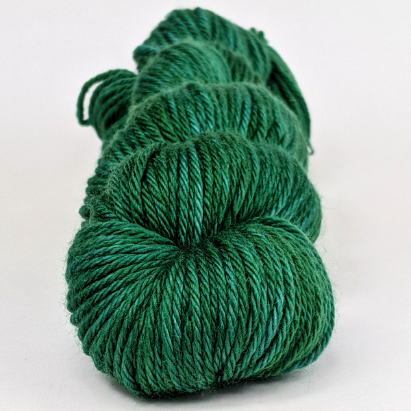 Knitcircus Yarns: Hobbit Hole 100g Kettle-Dyed Semi-Solid skein, Ringmaster, ready to ship yarn