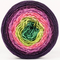 Knitcircus Yarns: Just Beet It 100g Panoramic Gradient, Trampoline, ready to ship yarn