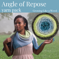 Angle of Repose Shawl Yarn Pack, pattern not included, dyed to order