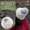 Blakely Hat Yarn Pack, pattern not included, dyed to order