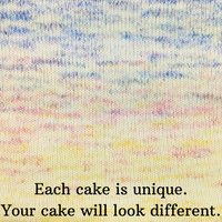 Knitcircus Yarns: Bundle of Joy 100g Impressionist Gradient, Ringmaster, choose your cake, ready to ship yarn