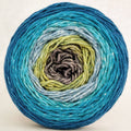 Knitcircus Yarns: Thanks for All the Fish 100g Panoramic Gradient, Greatest of Ease, ready to ship yarn