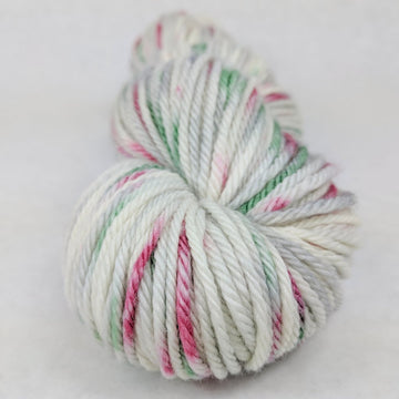 Knitcircus Yarns: Tis the Season 100g Speckled Handpaint skein, Ringmaster, ready to ship yarn