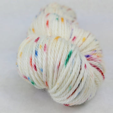 Knitcircus Yarns: Over the Rainbow 100g Speckled Handpaint skein, Ringmaster, ready to ship yarn