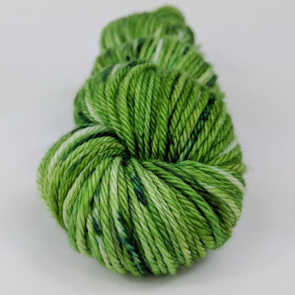 Knitcircus Yarns: Lucky Charm 100g Speckled Handpaint skein, Ringmaster, ready to ship yarn
