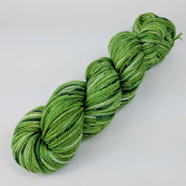 Knitcircus Yarns: Lucky Charm 100g Speckled Handpaint skein, Ringmaster, ready to ship yarn