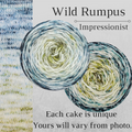 Knitcircus Yarns: Wild Rumpus Impressionist Gradient, dyed to order yarn