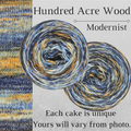 Knitcircus Yarns: Hundred Acre Wood Modernist, dyed to order yarn