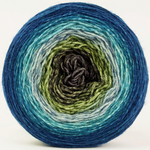 Knitcircus Yarns: Thanks For All The Fish 150g Panoramic Gradient, Breathtaking BFL, ready to ship yarn