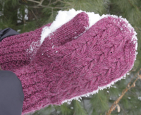 Pattern - Digital Download of Pinewood Mittens by Chit Chat Knits